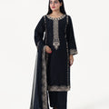 Baaghi Emb 3pc