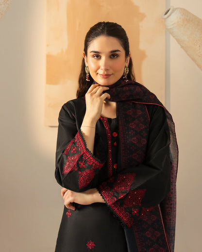 Saiyaara Emb 3pc detail