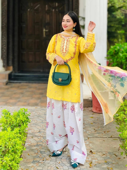 Hajra Emb Soft Lawn 3pc detail